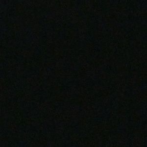 Meet your Posher, Larry