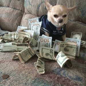 Meet your Posher, Carina