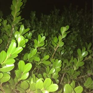 Meet your Posher, Briana