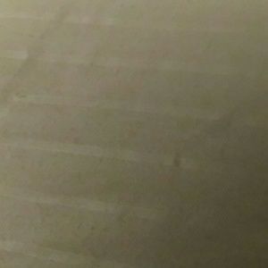 Meet your Posher, Dinah