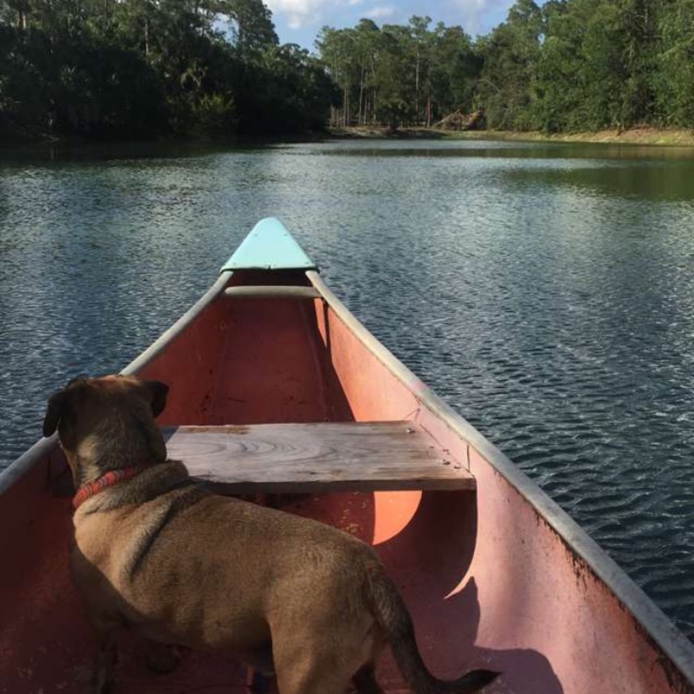 Meet your Posher, Alex