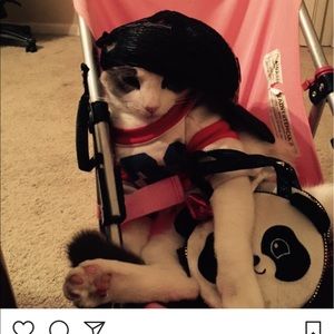 Meet your Posher, Seanna