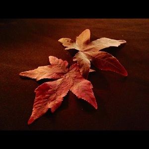 Meet your Posher, Tatiana