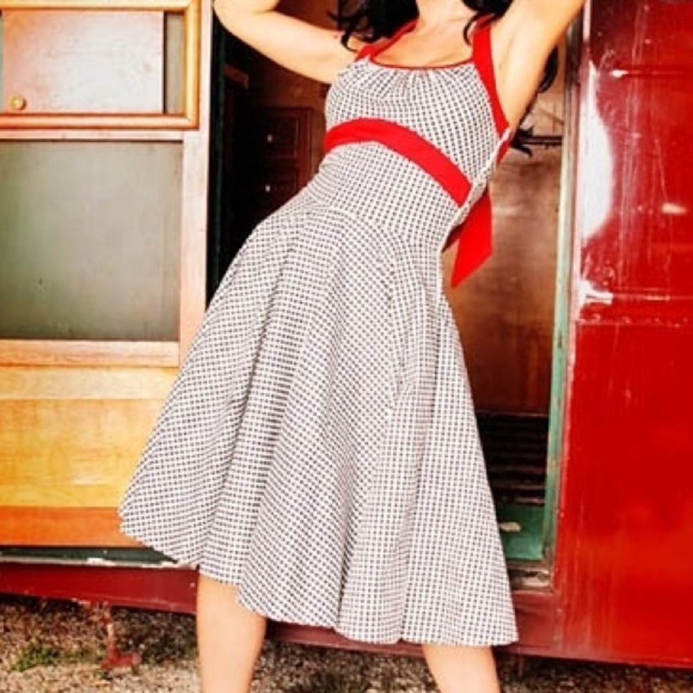 Plus size Daisy Swing Dress by Pinupgirl Clothing
