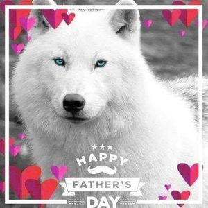 Meet your Posher, Bobbie