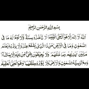 Meet your Posher, Malik