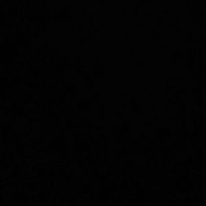 Meet your Posher, Cody