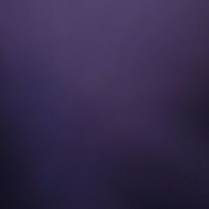 Meet your Posher, Kaylee