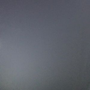 Meet your Posher, Shane