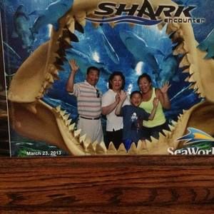 Meet your Posher, Channary