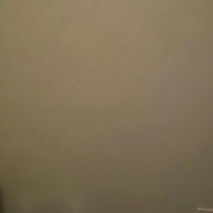 Meet your Posher, Lonnie