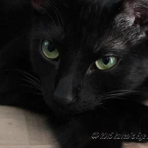 Meet your Posher, Edrina