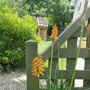 Meet your Posher, Rebecca