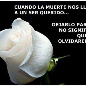 Meet your Posher, Cynthia