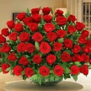 Meet your Posher, Yinette