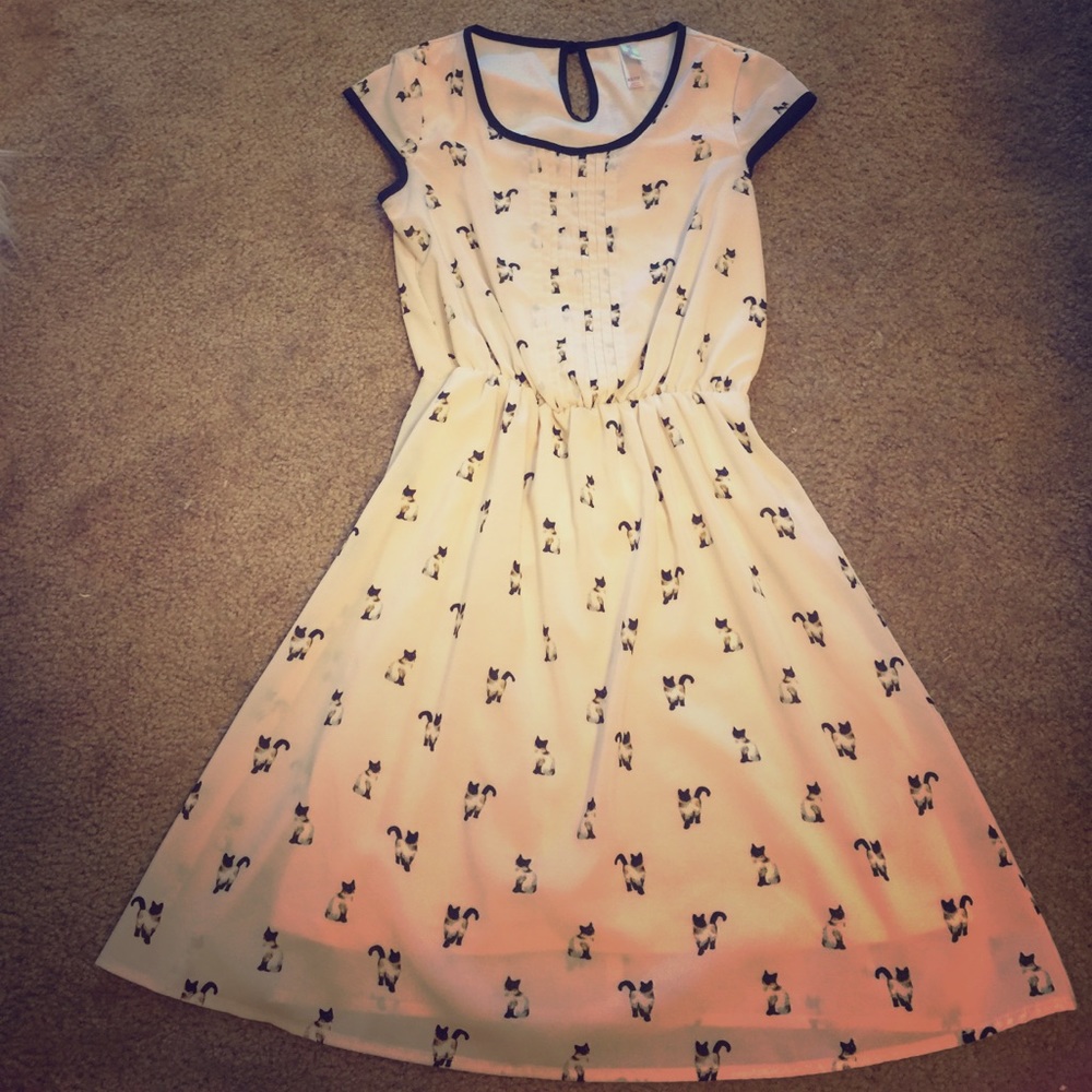 🐱Cute dress for any cat lover!🐱