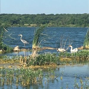 Meet your Posher, Araceli