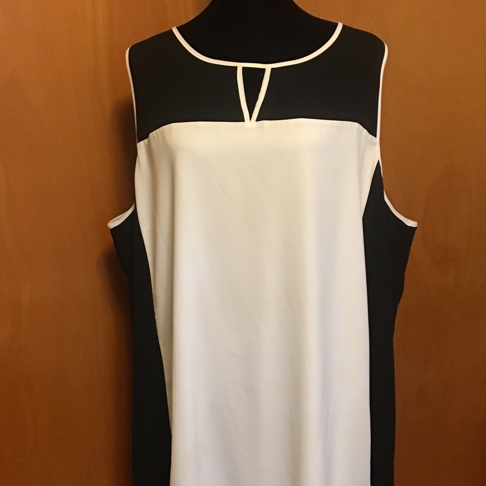 Simply Elegant Black and White Shift Dress