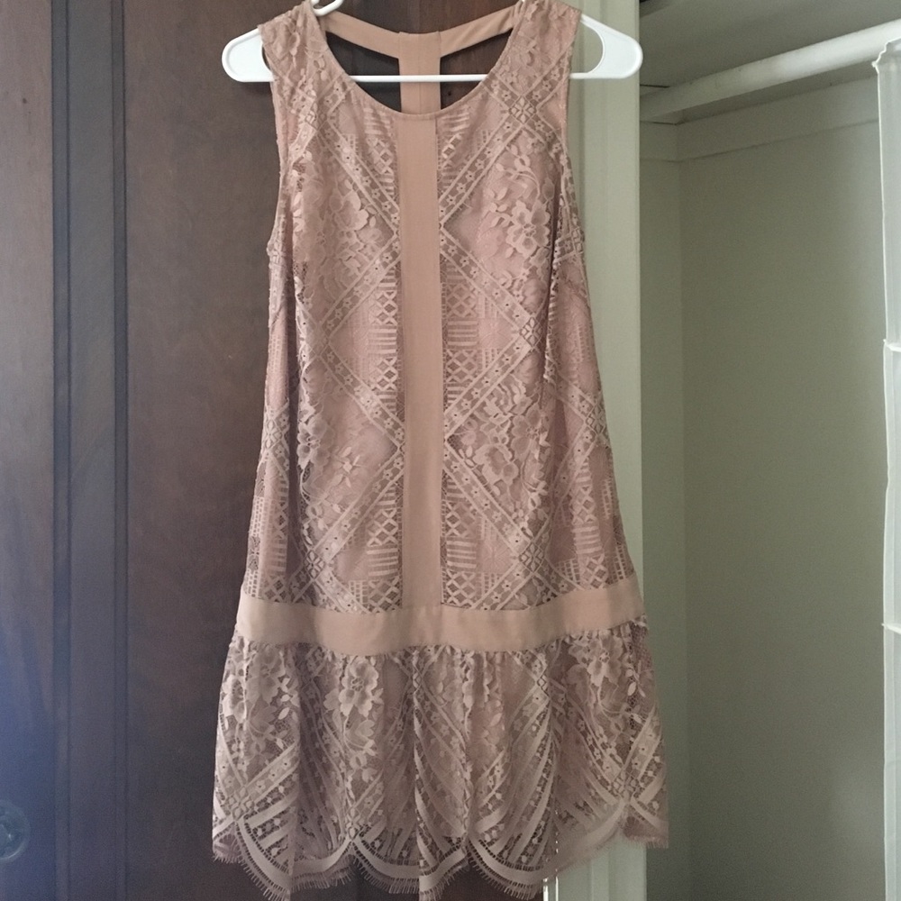 Blush lace drop waist cocktail dress