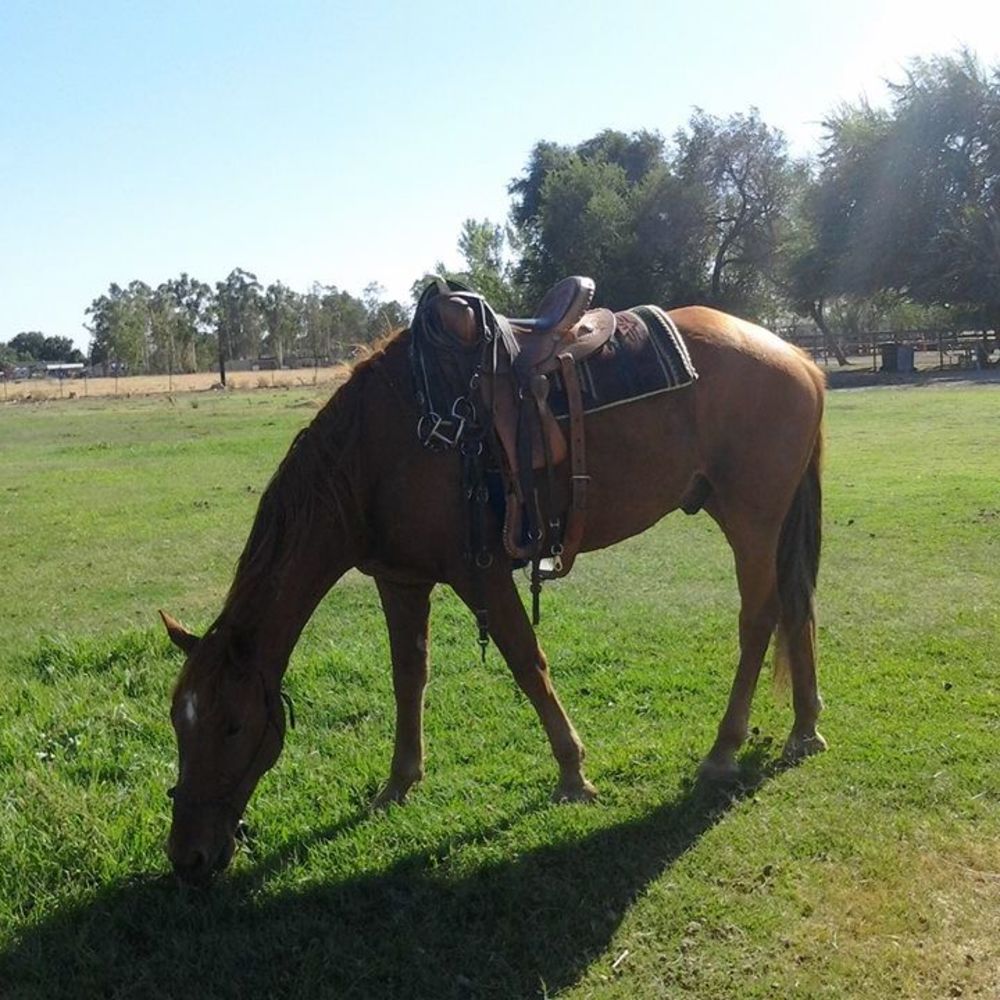 Meet your Posher, Melinda