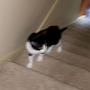 Meet your Posher, Regina