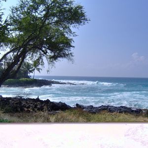 Meet your Posher, Elaine