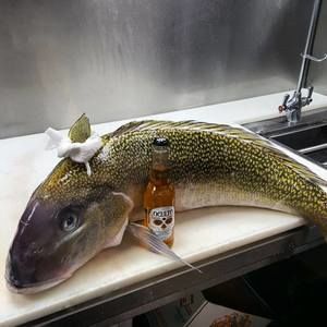 Meet your Posher, Erick