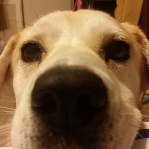 Meet your Posher, Jasmin