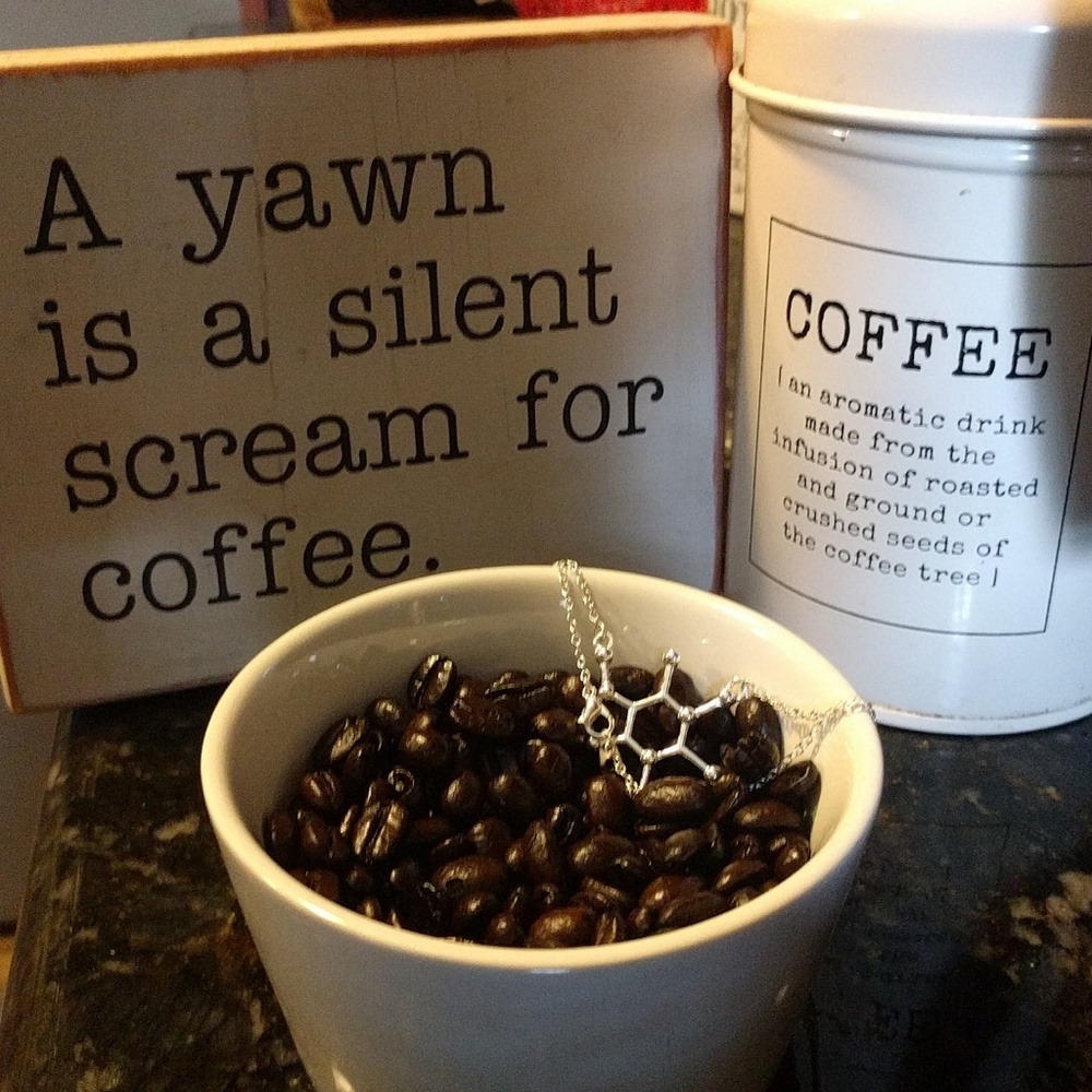  2 for $15 Silver Caffiene Molecule necklace