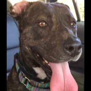 Meet your Posher, Carla