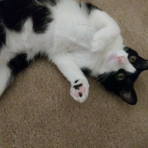 Meet your Posher, Karen