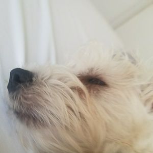 Meet your Posher, Wayne