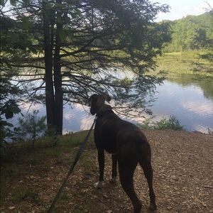 Meet your Posher, Brady