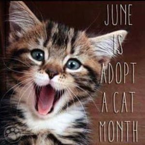 Meet your Posher, Theresa