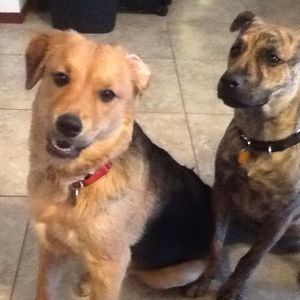 Meet your Posher, Suzanne