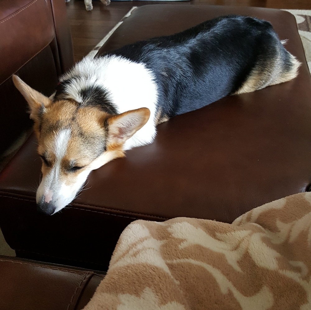 Meet your Posher, Judy