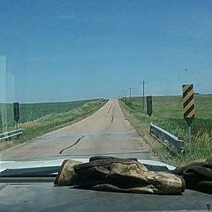 Meet your Posher, Curtis