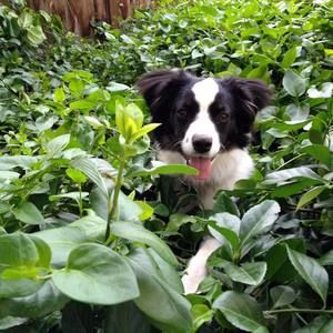 Meet your Posher, Kailey