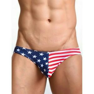 Men's Patriotic Sexy Underwear
