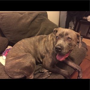 Meet your Posher, Heather