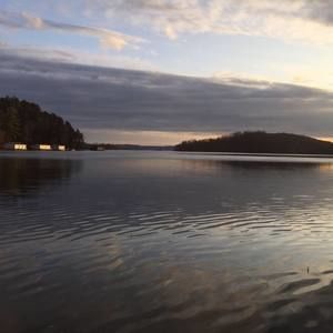 Meet your Posher, Mattie