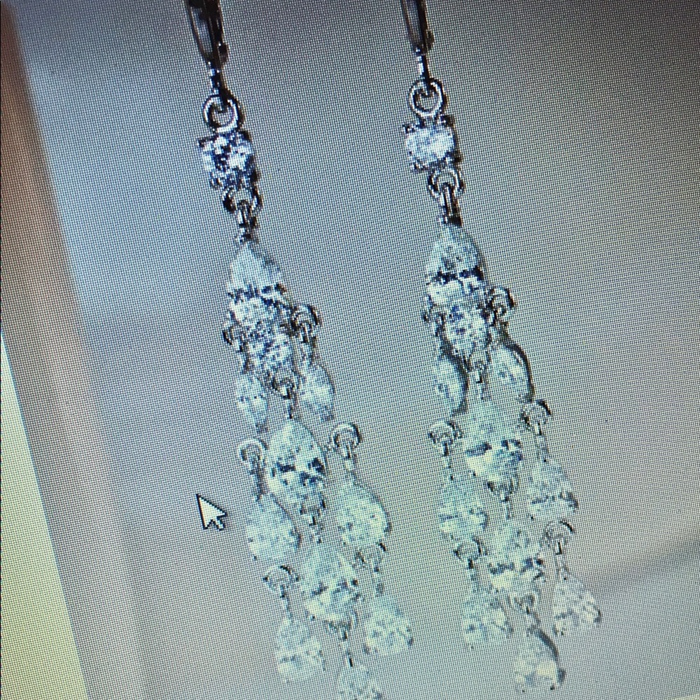 Beautiful Earrings!