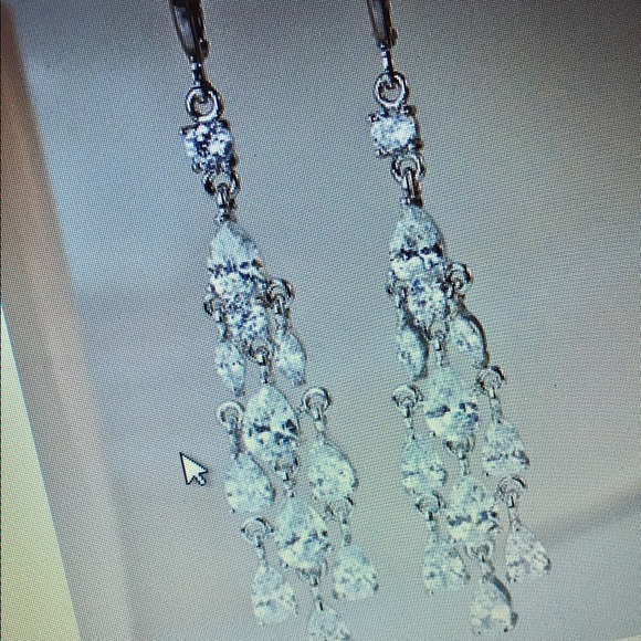 Beautiful Earrings! - Picture 1 of 3