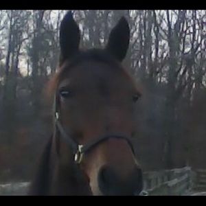 Meet your Posher, Molly