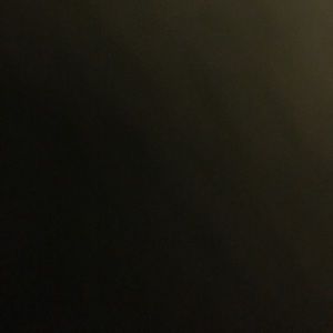 Meet your Posher, Bobby