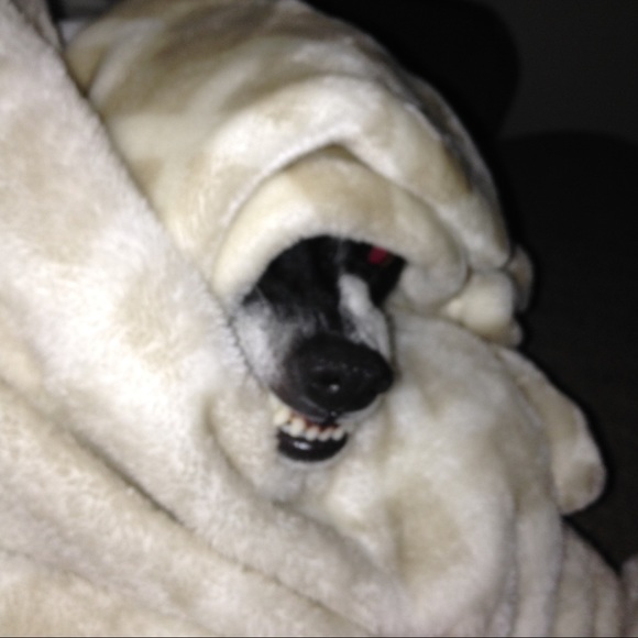 ALL PRICES NEGOTIABLE - Picture 6 of 13