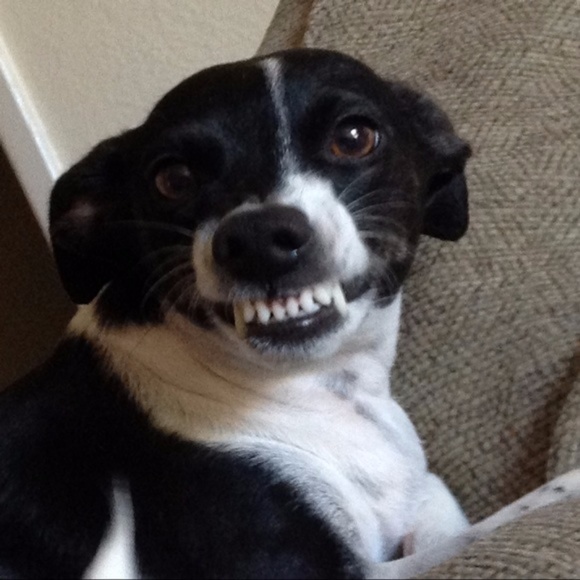 ALL PRICES NEGOTIABLE - Picture 4 of 13