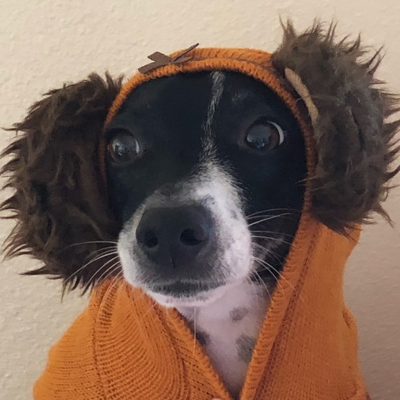 ALL PRICES NEGOTIABLE - Picture 7 of 13