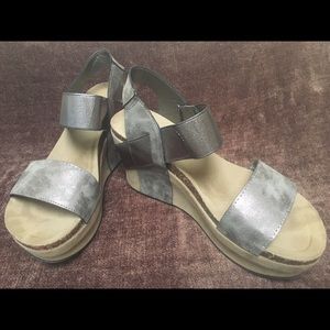 Silver wedges