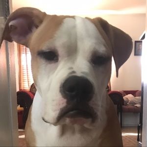 Meet your Posher, Steven